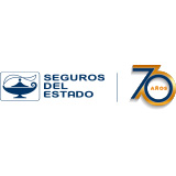 SEGUROS DEL ESTADO